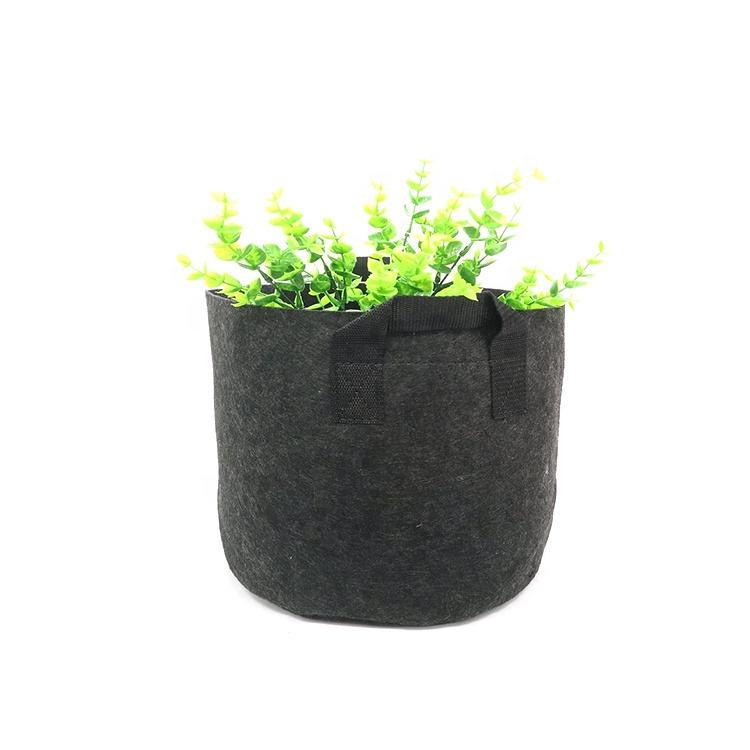 Plant Grow Bag